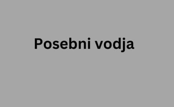 Posebni vodja